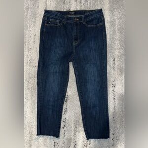 Judy Blue Skinny Jeans